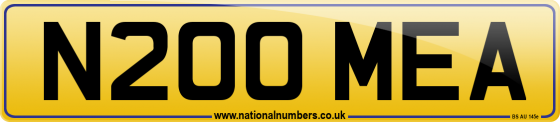 N200 MEA