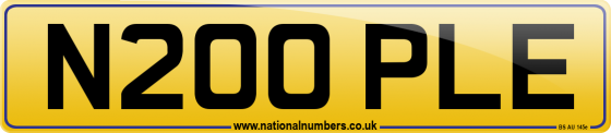N200 PLE