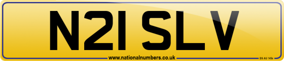 N21 SLV