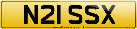 N21 SSX