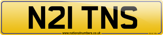 N21 TNS