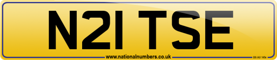 N21 TSE