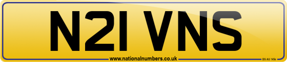 N21 VNS