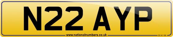 N22 AYP