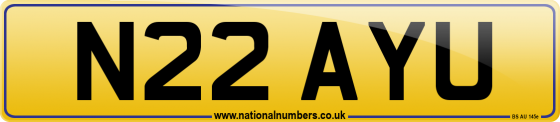 N22 AYU