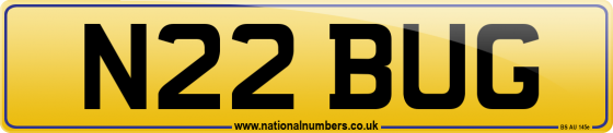 N22 BUG
