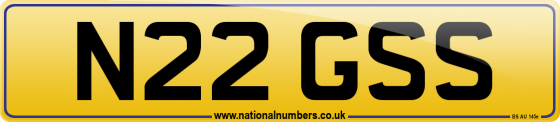 N22 GSS