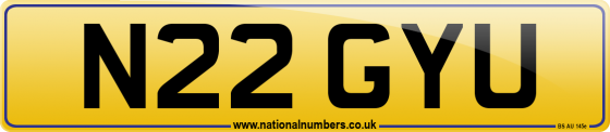N22 GYU