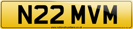 N22 MVM