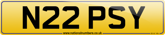 N22 PSY