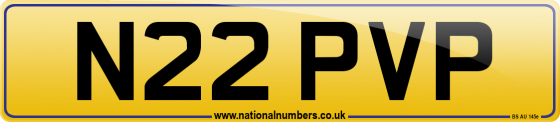 N22 PVP