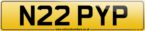 N22 PYP