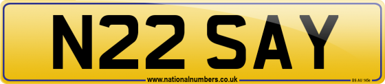 N22 SAY