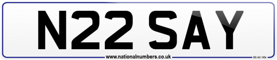 N22 SAY