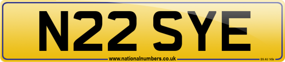 N22 SYE