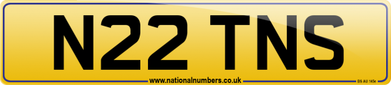 N22 TNS