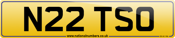 N22 TSO