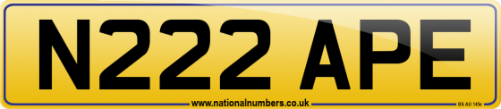 N222 APE