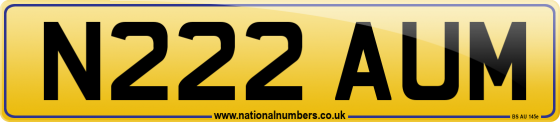 N222 AUM