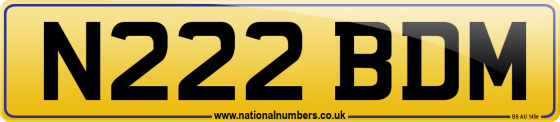 N222 BDM