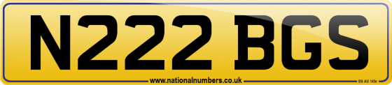 N222 BGS