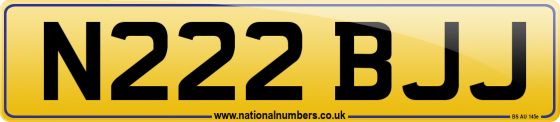 N222 BJJ