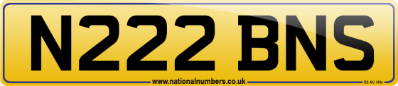 N222 BNS
