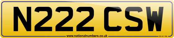 N222 CSW