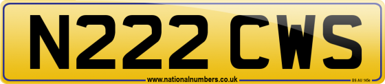 N222 CWS