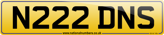 N222 DNS