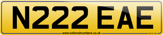 N222 EAE