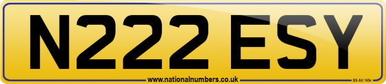 N222 ESY