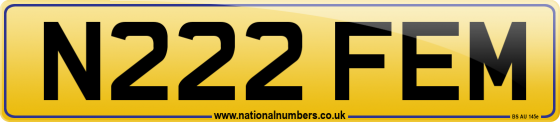 N222 FEM