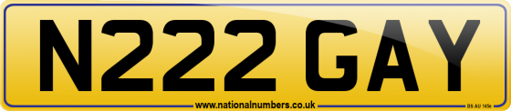 N222 GAY