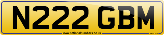 N222 GBM