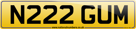 N222 GUM