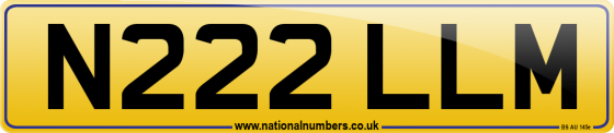 N222 LLM