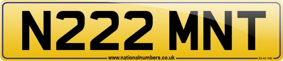 N222 MNT
