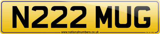 N222 MUG