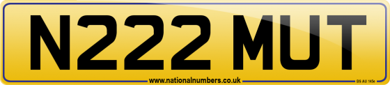 N222 MUT