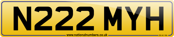 N222 MYH