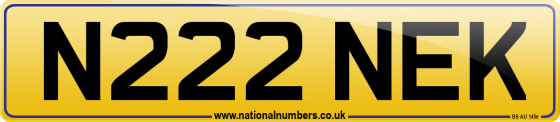 N222 NEK