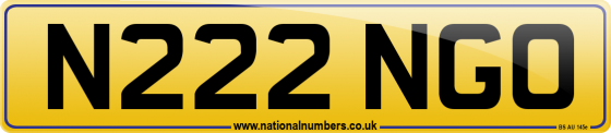 N222 NGO