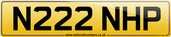 N222 NHP