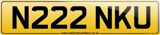 N222 NKU