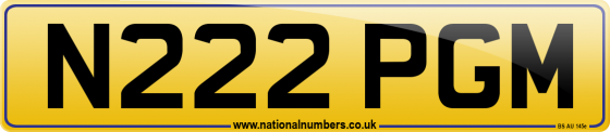 N222 PGM
