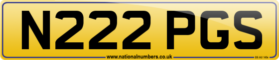 N222 PGS