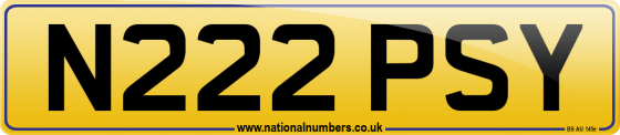 N222 PSY