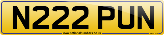 N222 PUN