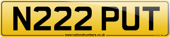 N222 PUT